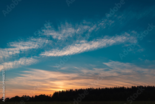 Sunset over the treetops. Place for the text.