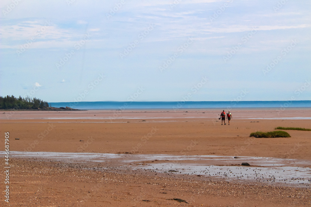 Unidentified people walking on the sandy beach in the Bay of Fundy