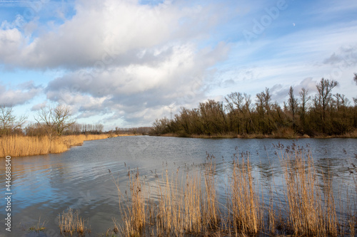 Natural landscape de Biesbosch near Dordrecht in the Netherlands