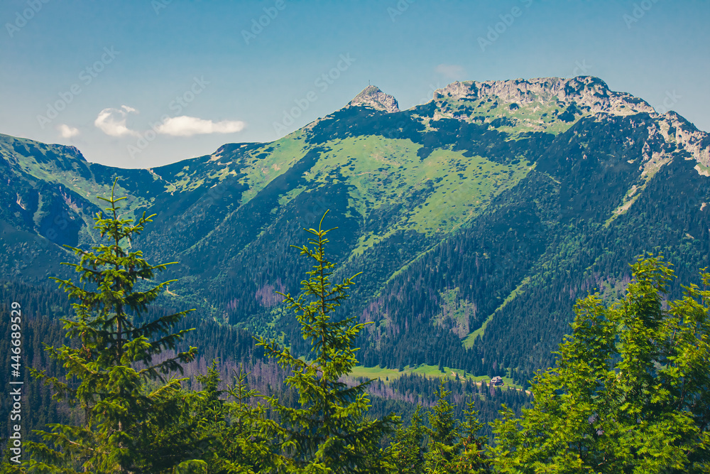 Fototapeta premium Góry Zakopane