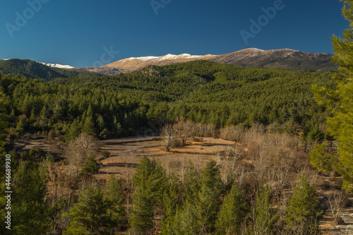 Bük Research Forest at the junction of Yazırdere and Kızıldere, located in the forest area within the borders of Korkuteli district of Antalya province...