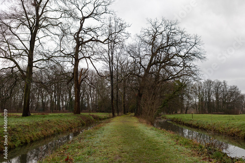 country road in spring