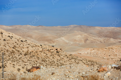 Judean Desert  Israel. White sand dunes and blue sky. Wadi Qelt land. Stony desert in the heat