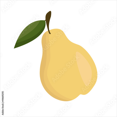 Isolated pear on white background for fabric design. Vector illustration background. Cartoon vector illustration. Colorful flat vector illustration. Vector isolated illustration. 