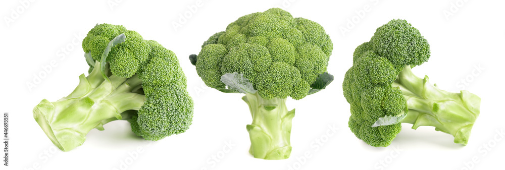 Broccoli isolated on white background. Raw green broccoli vegetable. Close up. Broccoli isolated on white background. Raw green broccoli vegetable. Close up.