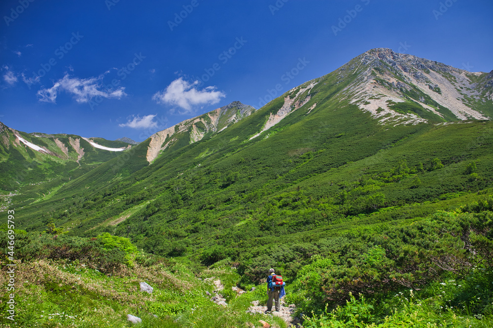 Fototapeta premium northern alps trekking, kasagatake, washibadake, suishodake, kurobegorodake 北アルプス笠ヶ岳、鷲羽岳、水晶岳、黒部五郎岳縦走登山 