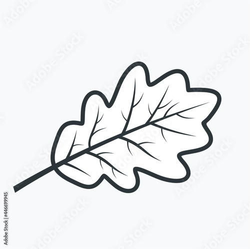 illlustration of oak leaf, oak leaf icon, vector art.