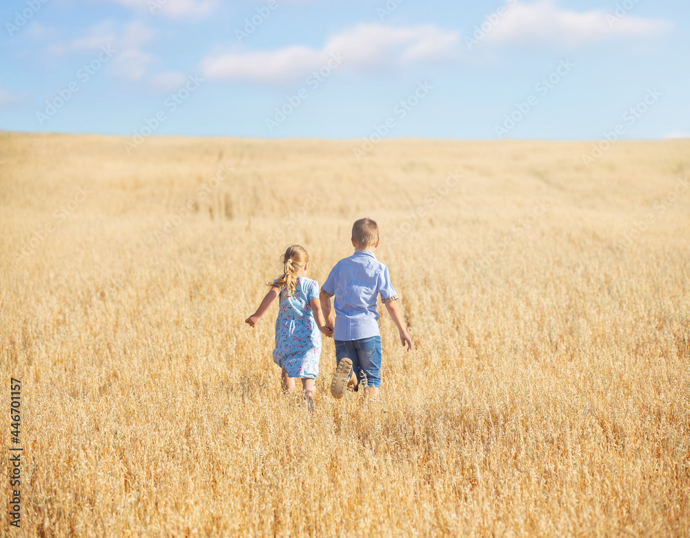 children walk in a wheat field with wildflowers, a bright sunny summer day children walk in a wheat field with wildflowers, a bright sunny summer day