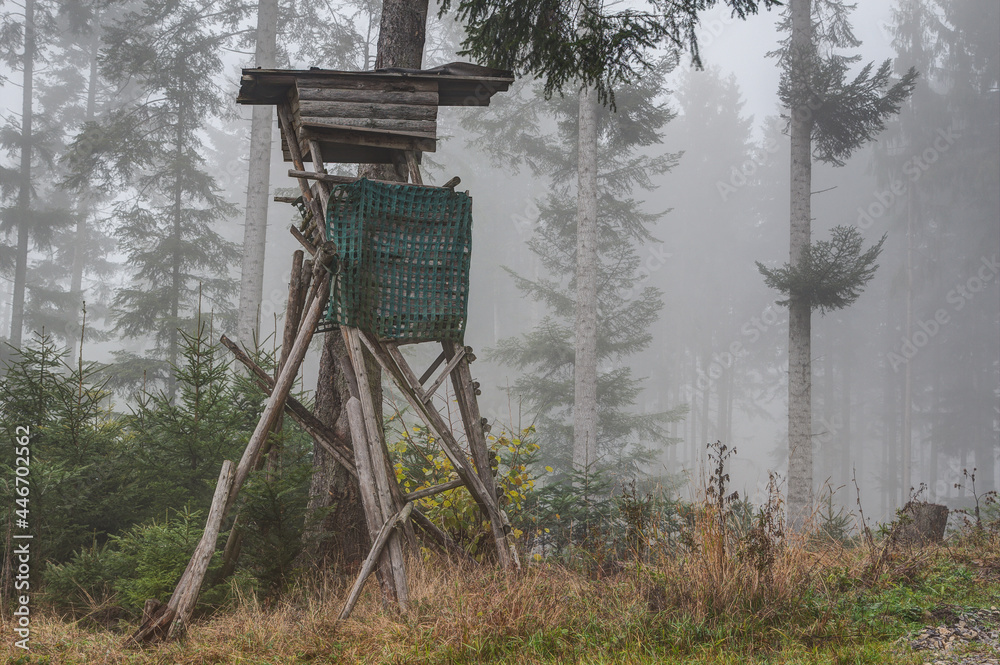 Gray fog hangs between the trees in the mountain forest. On this wet and cold November morning, the old, rickety high seat is lonely and abandoned on the tree.....