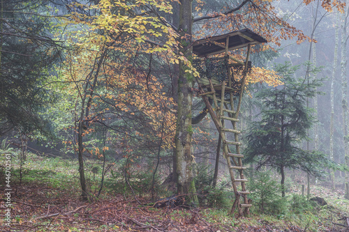 It is silent and quiet in the hunting grounds on the gray, foggy November day. Mist descends and claps in thick drops from the branches.