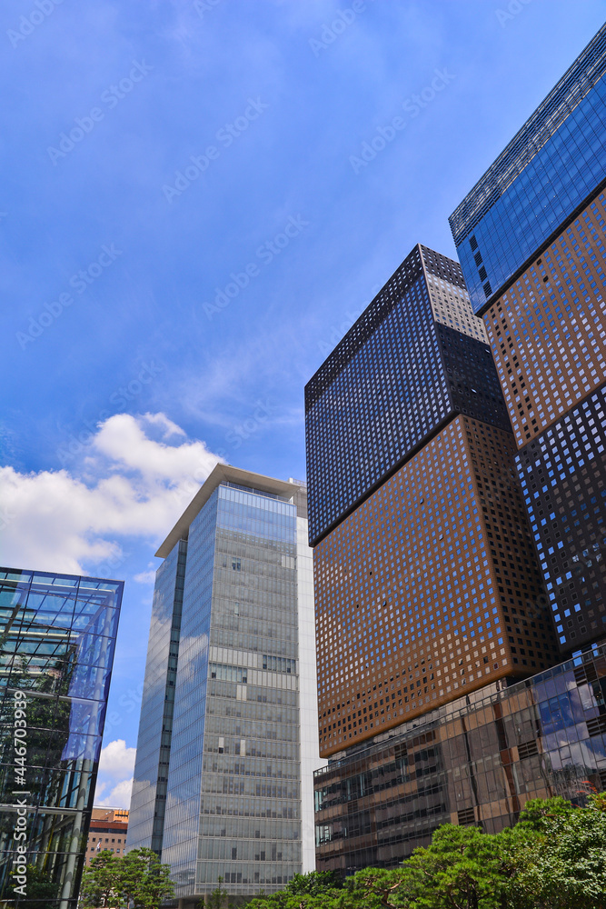 Obraz premium 서울 중심가 고층빌딩