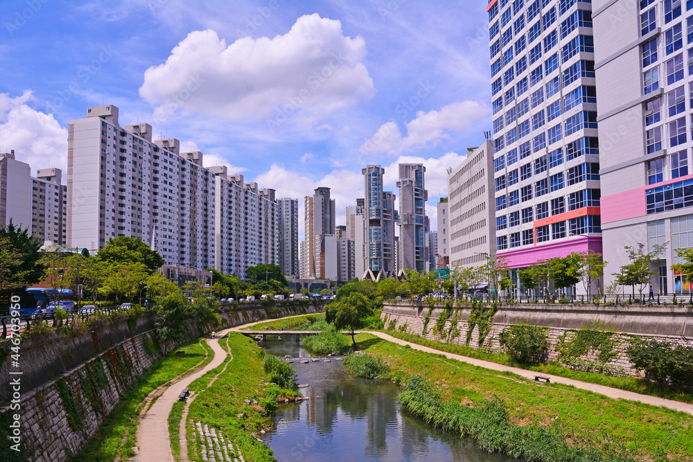 Obraz premium 청계천 주변풍경