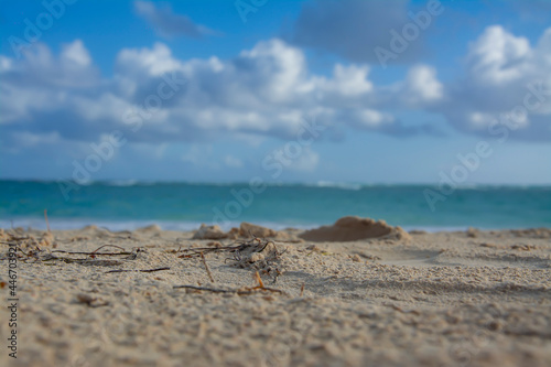 playa paraiso