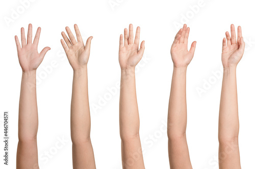 Woman hands gesturing
 isolated on white background