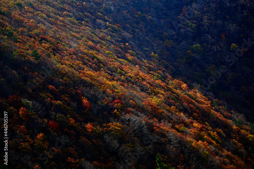 秋の三瓶山