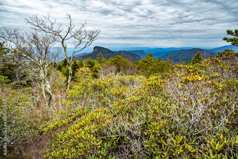 View of Table Rock and Linville Gorge Wilderness, North Carolina, on overcast cloudy day, winter, nature, trees, Blue Ridge mountains View of Table Rock and Linville Gorge Wilderness, North Carolina, on overcast cloudy day, winter, nature, trees, Blue Ridge mountains