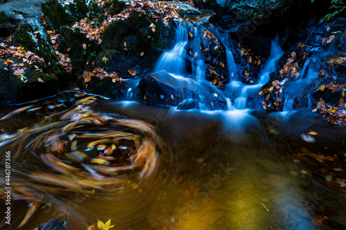 Autumn Spruce Flatts Falls moss covered boulders and fallen leaves Great Smoky Mountains