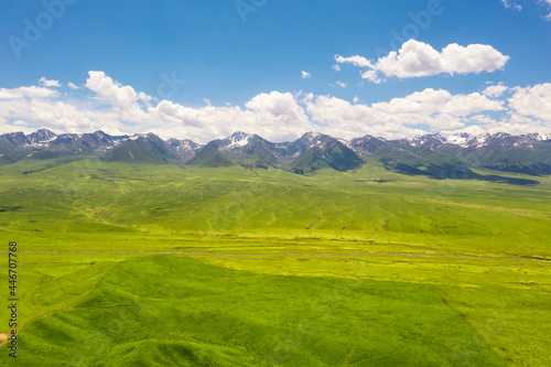 Nalati grassland with the blue sky.