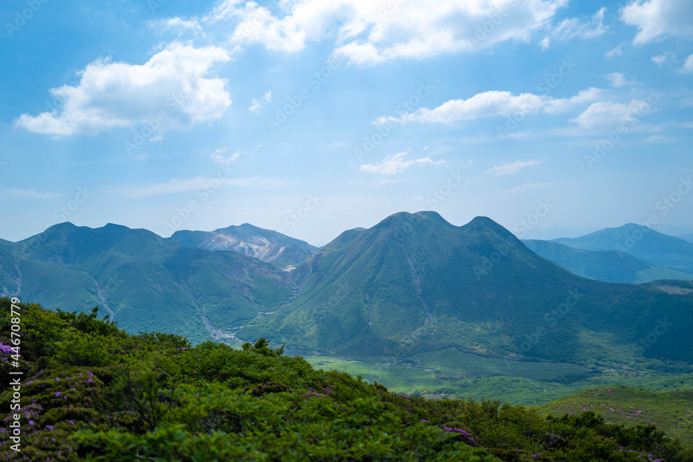 Fototapeta premium 大分県の平治岳、大船山の登山道 Trail of Mt.Heijidake and Mt.Taisenzan in Oita Prefecture