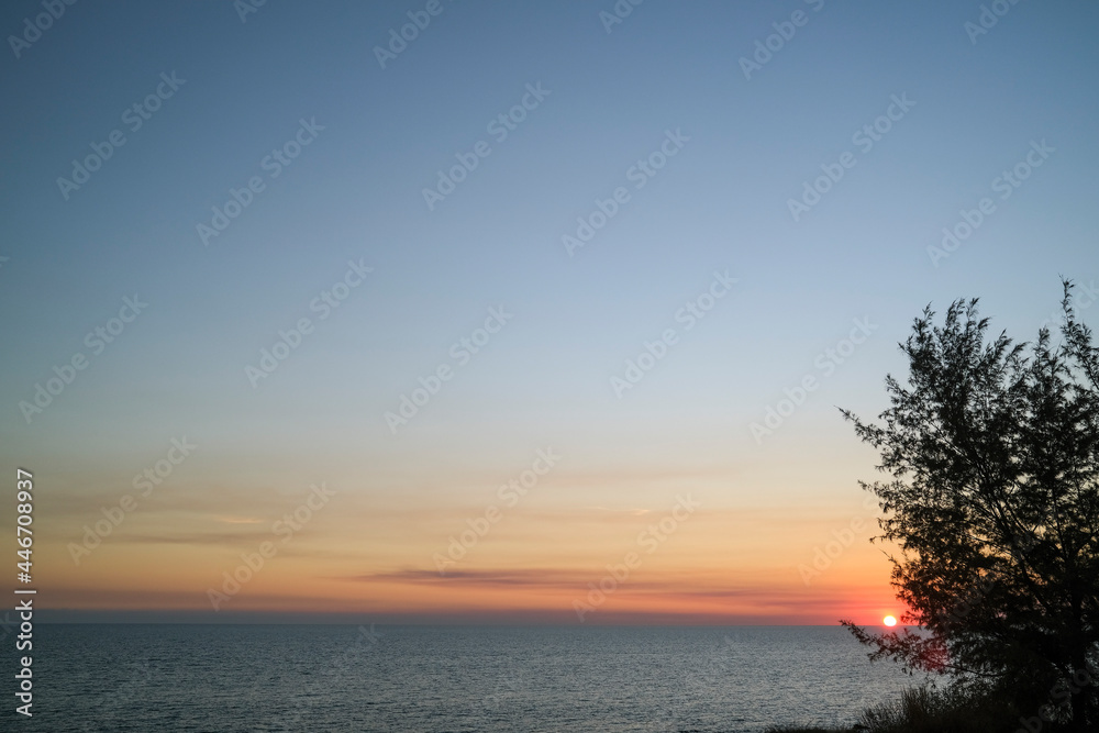 Tree silhouette and sunset over the ocean