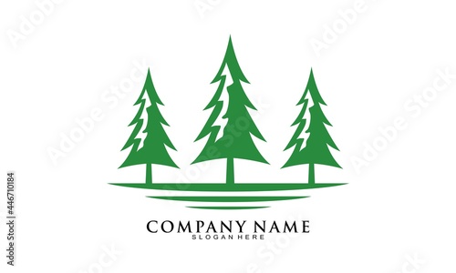 Three spruce logo design