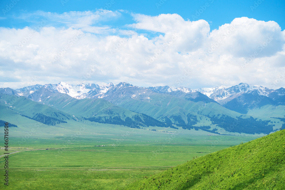 Fototapeta premium Nalati grassland with the blue sky.