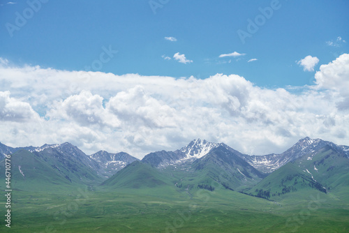 Nalati grassland with the blue sky. photo