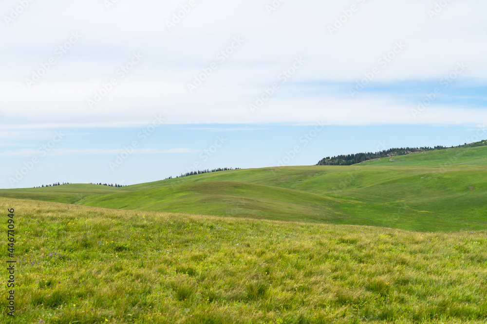 Grassland and mountains in a cloudy day. Photo in Kalajun grassland in Xinjiang, China. Grassland and mountains in a cloudy day. Photo in Kalajun grassland in Xinjiang, China.