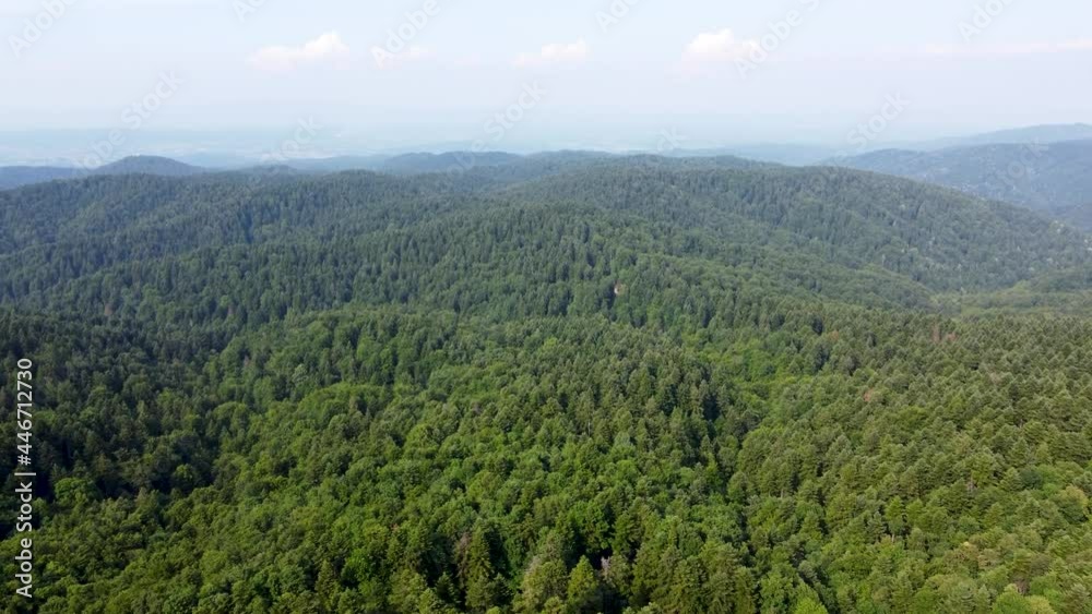 Aerial drone view of green forest in mountains in summer. Trees growing in nature. Beautiful Deciduous forest, view from above. Woodland. Aerial drone view of green forest in mountains in summer. Trees growing in nature. Beautiful Deciduous forest, view from above. Woodland.