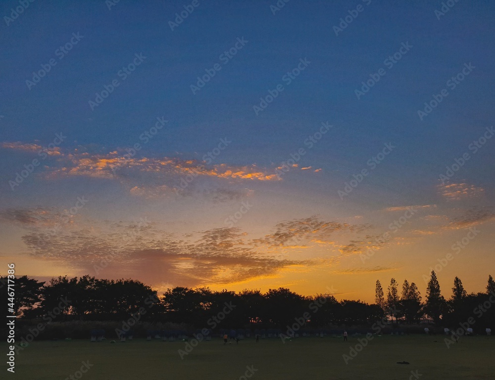 Naklejka premium sunset over the lawn