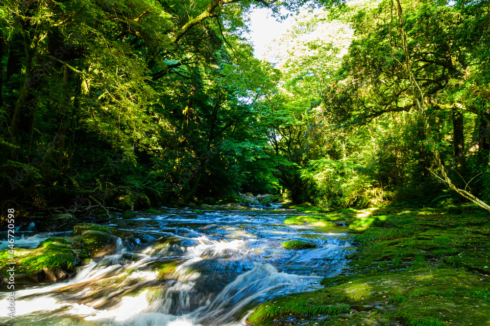 菊池渓谷:湧水の流れる森(涼しい風景)と光芒の輝き景色 Kikuchi Gorge: Forest with flowing springs ...