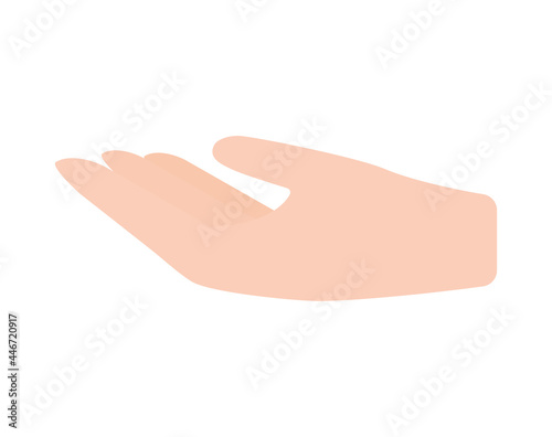 hand palm design