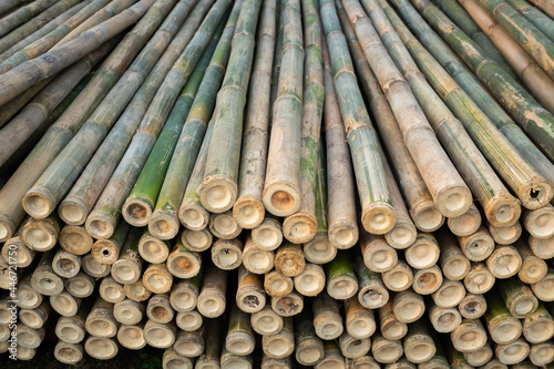 Pile of green bamboo pieces