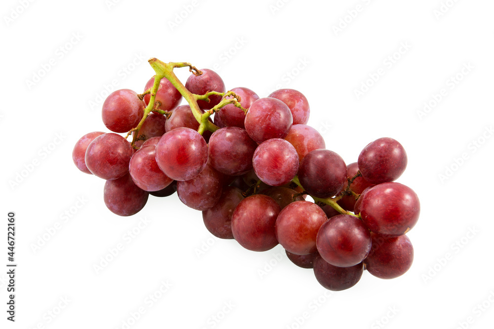 Uva morada en rama fondo blanco