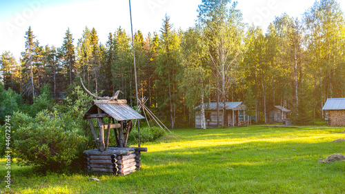 Old wooden house in the coniferous forest. Sammer day.