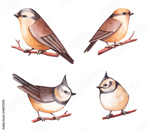Collection of small watercolor birds on the branches