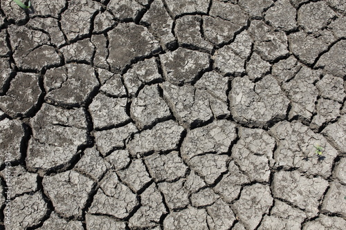 The ground cracks in very hot and windy weather. The more dry the soil layer  the deeper the cracks in the soil.
