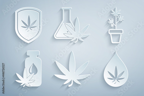 Set Marijuana or cannabis leaf, plant in pot, oil, Test tube with marijuana and Shield and icon. Vector