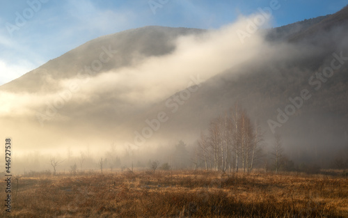 fog in the mountains