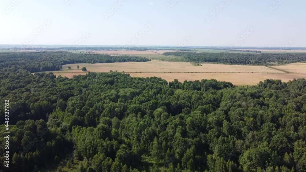 Flight over the green deciduous forest on a sunny summer day, landscape. Farm land near the forest.
Flight over the green deciduous forest on a sunny summer day, landscape. Farm land near the forest.