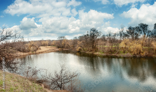 A beautiful pond in a forested area with aquatic plants and trees on the shore under cloudy summer sky with white clouds 