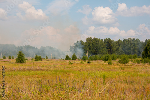 A forest fire in a field.
