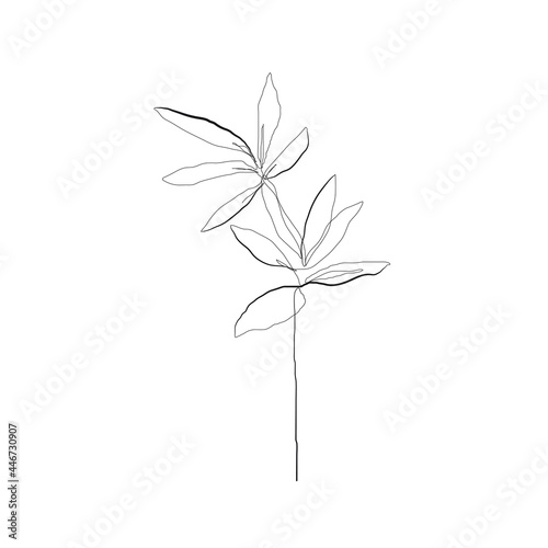 One Line Vector Drawing of Leaves Branch. Botanical Modern Single Line Art, Aesthetic Contour. Perfect for Home Decor, Wall Art Posters, or t-shirt Print, Mobile Case. Continuous Line Drawing © Наталья Дьячкова