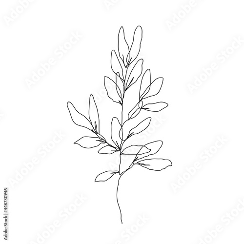 One Line Vector Drawing of Leaves Branch. Botanical Modern Single Line Art  Aesthetic Contour. Perfect for Home Decor  Wall Art Posters  or t-shirt Print  Mobile Case. Continuous Line Drawing