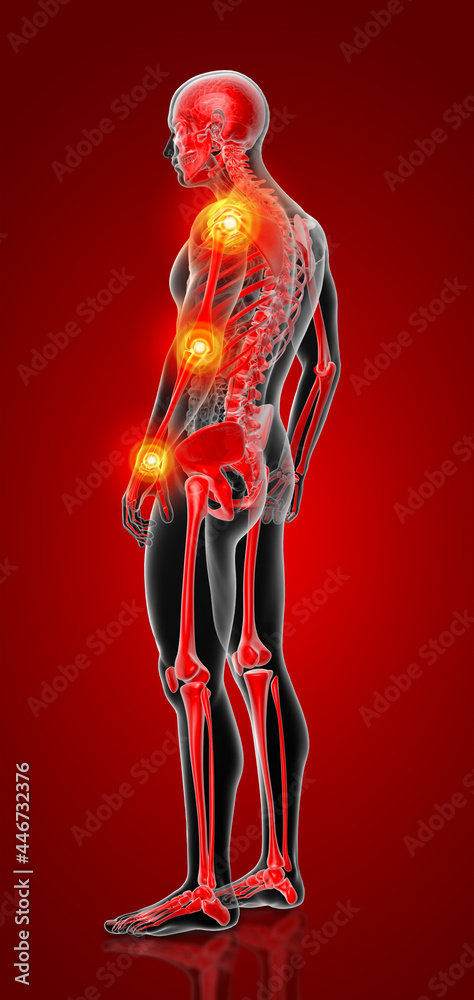 3d render skeleton by X-rays in red - side view