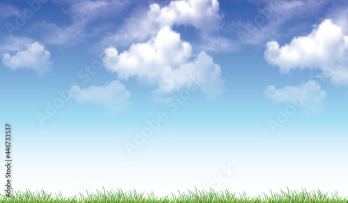 Green Grass And Blue Sky
