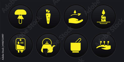 Set IV bag, Aroma candle, Teapot with cup, Mortar pestle, Leaf in hand, Carrot, Acupuncture therapy and Mushroom icon. Vector