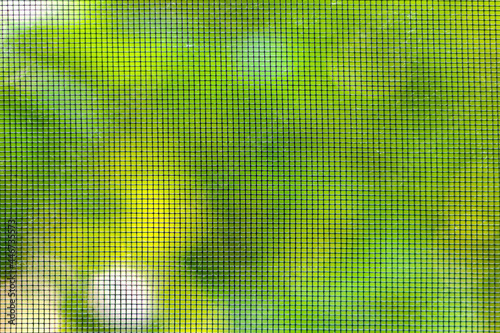 Green leaves on a tree in the garden outside the window with a mosquito net.
