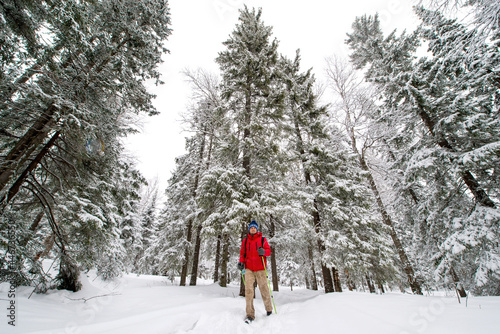 a male tourist walks through a snow-covered winter forest
