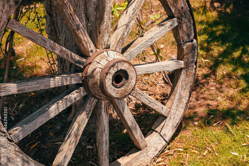 Vintage garden decoration concept. Close-up of an old rustic wooden wagon wheel leaning to tree trunk in summer. 